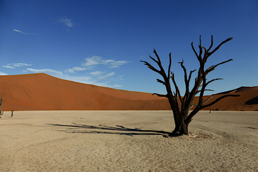 Visit Deadvlei on our Classic Tour