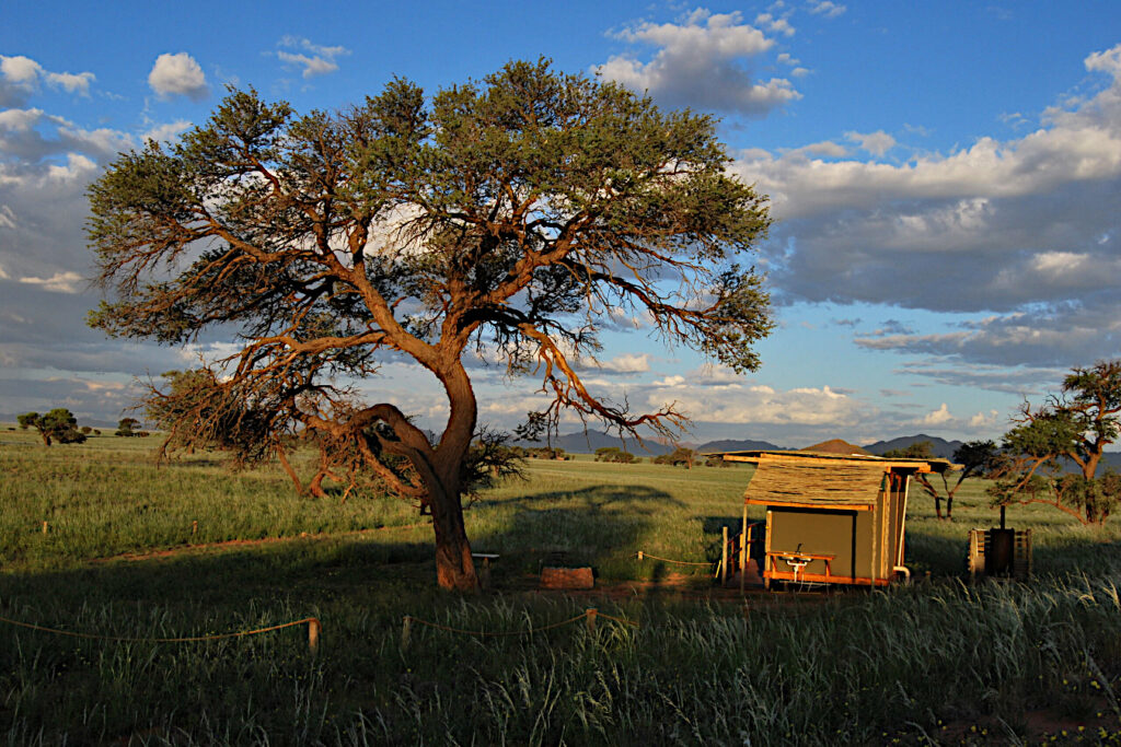 Our custom tours can take you off the beaten track