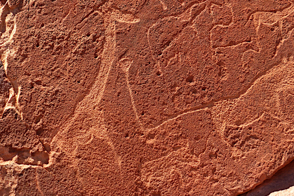 Visit the rock engravings of Twyfelfontein on our Classic Tour