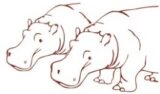 Hippo Tours and Safaris logo